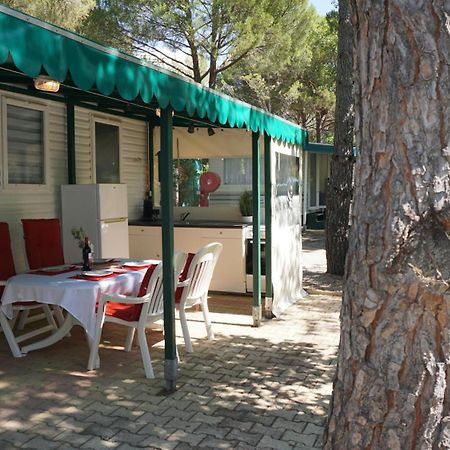 Chalets Met Buitenkeuken Op Camping Lei Suves - Joycasa Roquebrune-sur Argens Exteriér fotografie