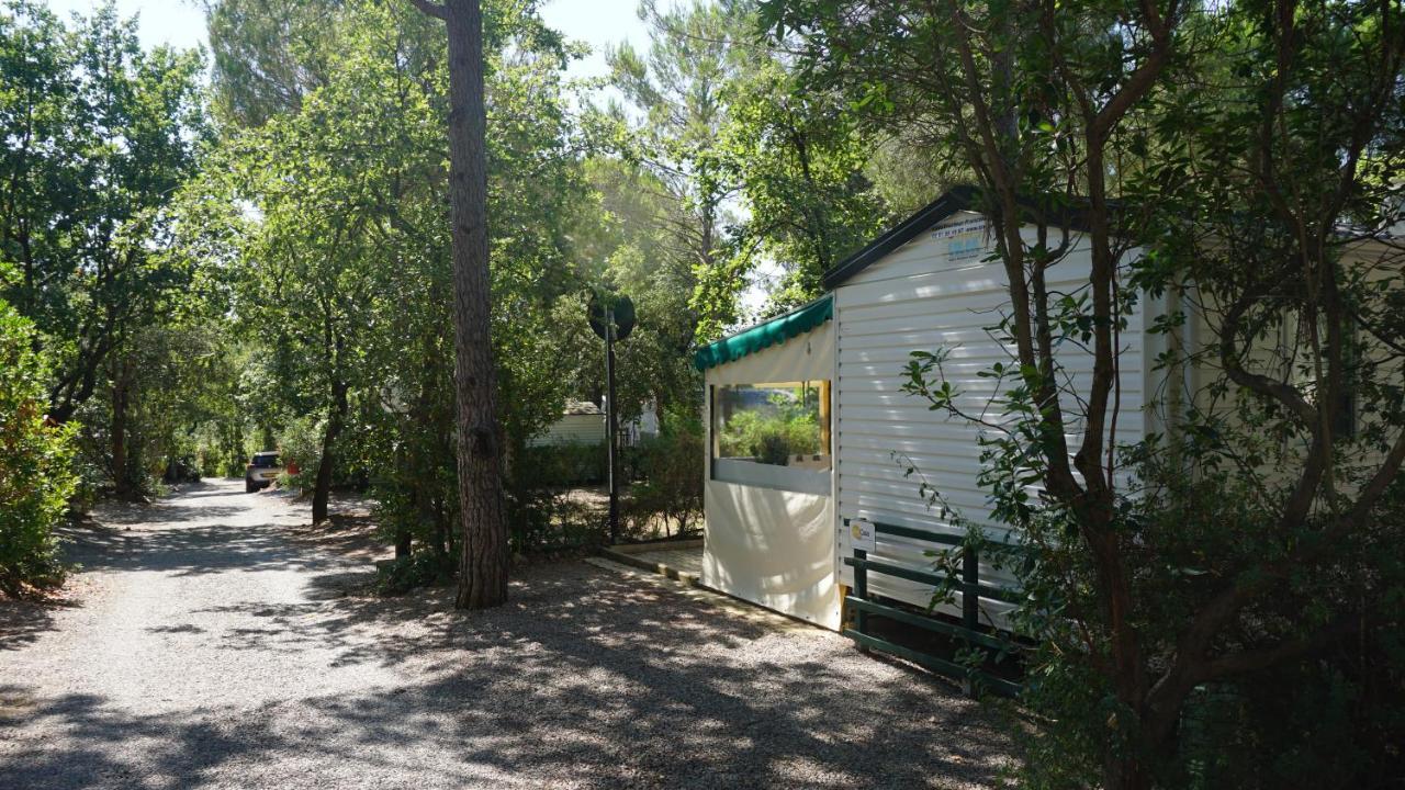Chalets Met Buitenkeuken Op Camping Lei Suves - Joycasa Roquebrune-sur Argens Exteriér fotografie