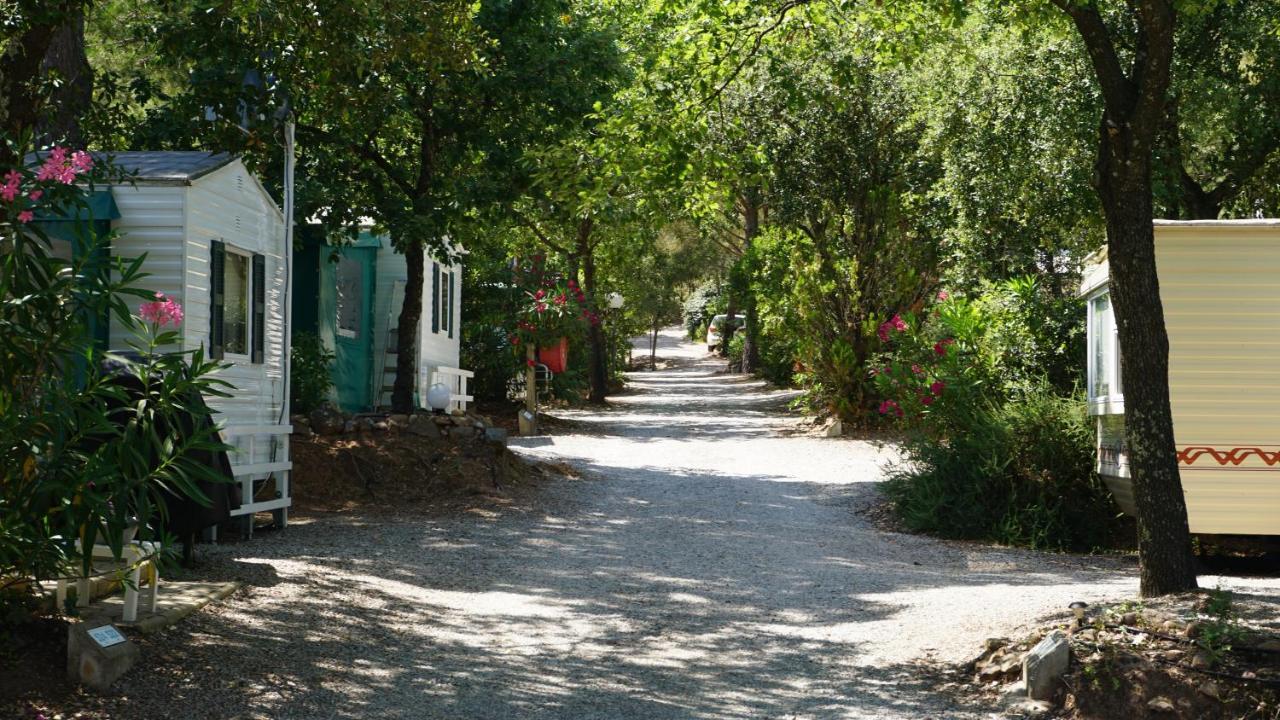Chalets Met Buitenkeuken Op Camping Lei Suves - Joycasa Roquebrune-sur Argens Exteriér fotografie