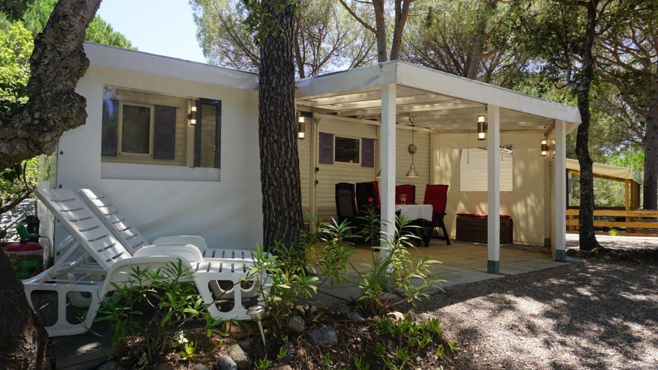 Chalets Met Buitenkeuken Op Camping Lei Suves - Joycasa Roquebrune-sur Argens Exteriér fotografie