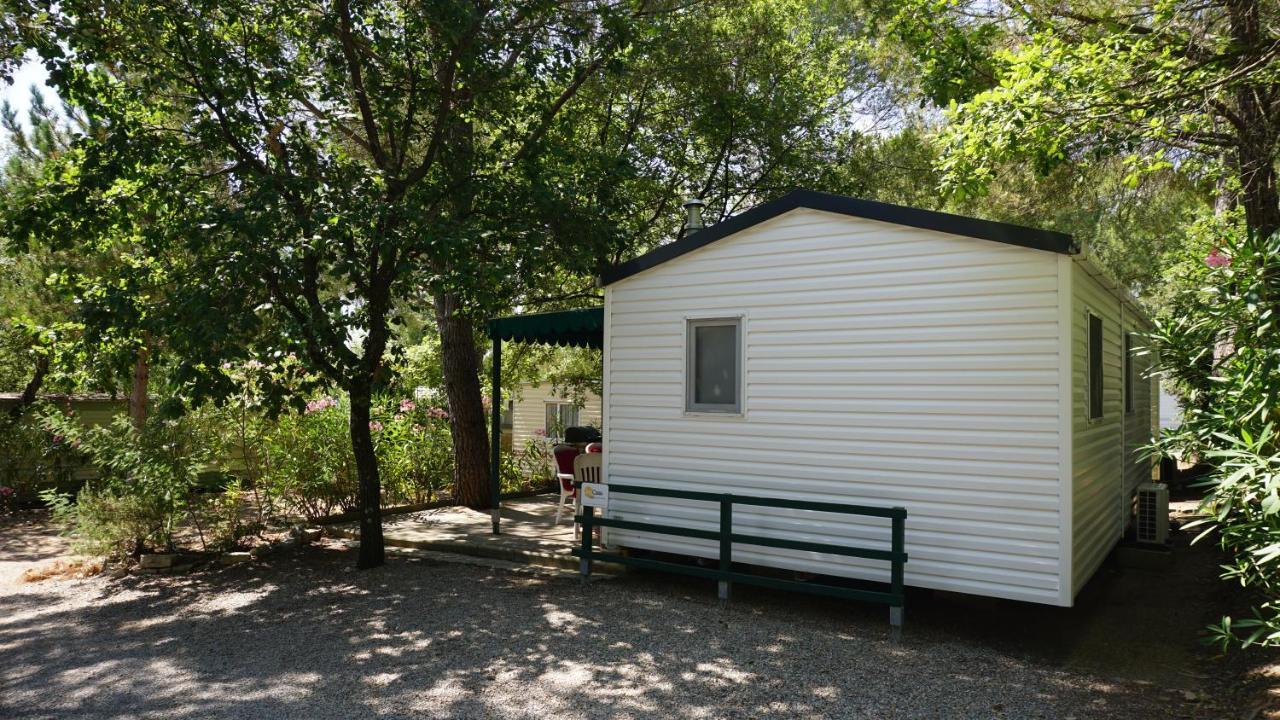Chalets Met Buitenkeuken Op Camping Lei Suves - Joycasa Roquebrune-sur Argens Exteriér fotografie