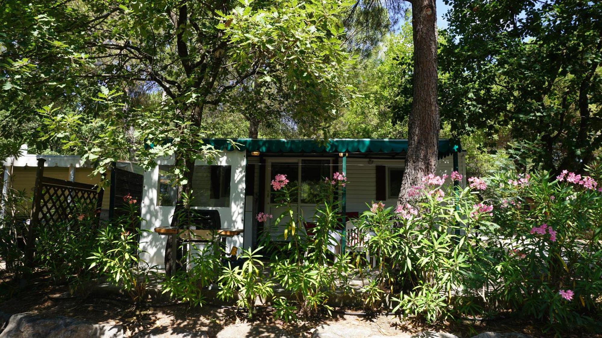 Chalets Met Buitenkeuken Op Camping Lei Suves - Joycasa Roquebrune-sur Argens Pokoj fotografie